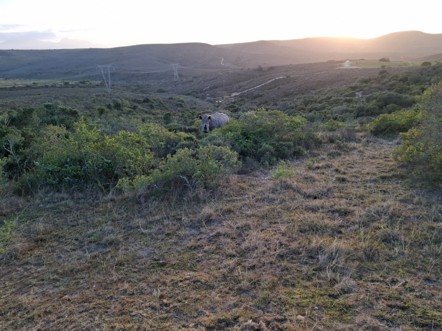  Bedroom Property for Sale in Mossel Bay Rural Western Cape
